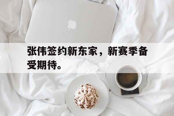 IM电竞最新下载安卓版-张伟签约新东家，新赛季备受期待。
