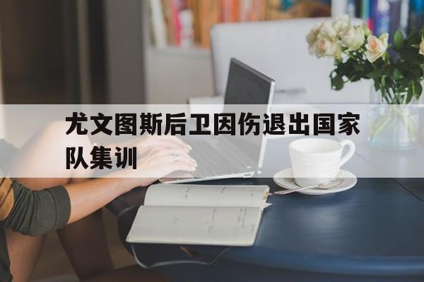IM电竞最新下载iOS-尤文图斯后卫因伤退出国家队集训